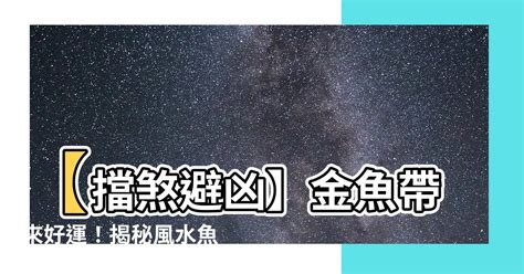 擋煞金魚|正确的养鱼挡煞法你知多少？